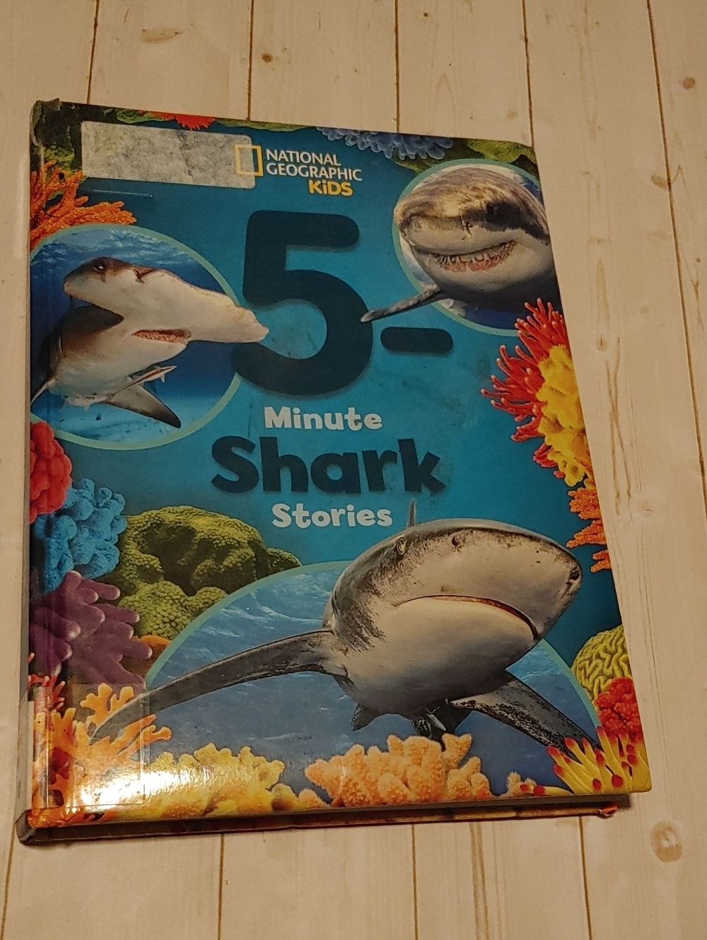 5 Minute Shark Stories National Geographic Kids Children Non Fiction Book